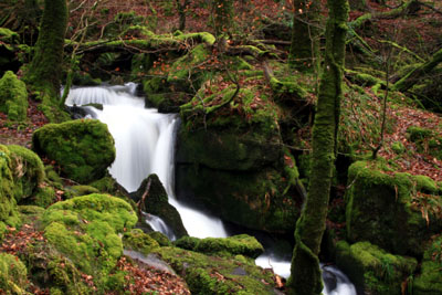 Burrator Waterfall Dartmoor